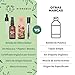 Bionoble Aceite de Ricino Orgánico 50ml - 100% Puro y Prensado en...