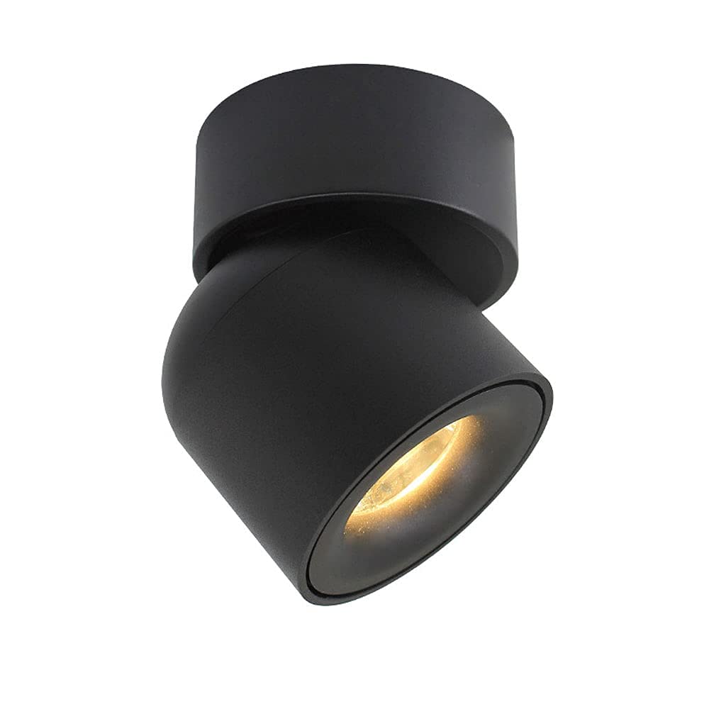 Plafond spotlight orientable noir 6000K pour éclairage moderne