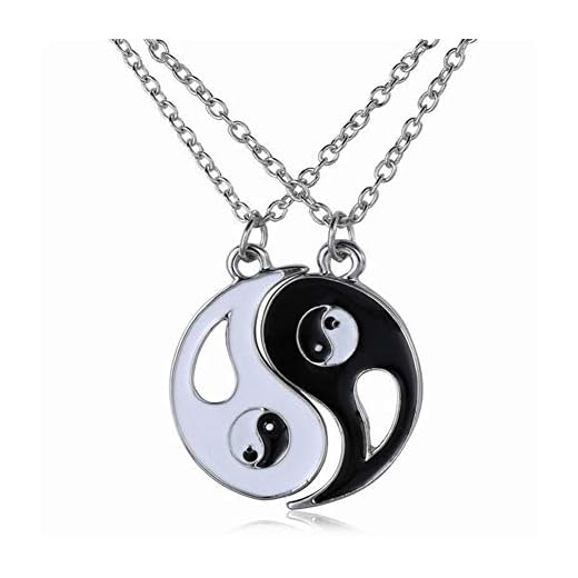 AdorabFruit Presenthänge 2 st/set The Best Friend halsband smycken Yin Yang Tai Chi hänge par halsband hänge unisex alla hjärtans dag-presentsmycken (metallfärg: Stil 1)