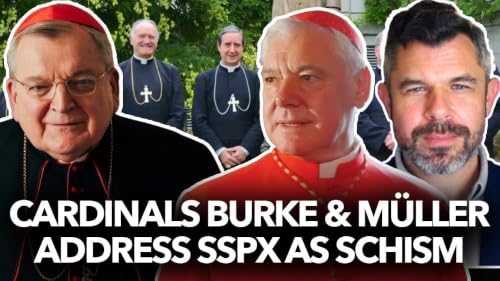 1324: Cardinals Burke and M&uuml;ller Address SSPX as Schism &ndash; Dr. Taylor Marshall