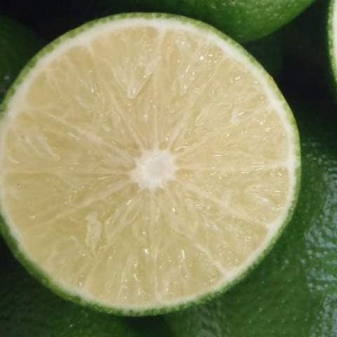 Amazon へべす 苗木 平兵衛 酢 2年生 接ぎ木大苗 果物