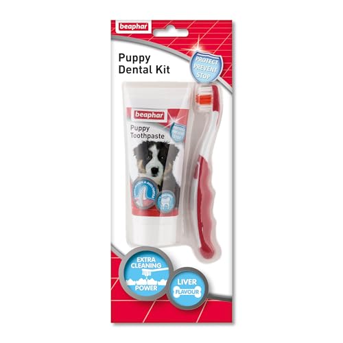 Beaphar - Spazzolino da denti e dentifricio Kit per la cura dentale dei cuccioli - Include uno spazzolino a testa piccola e dentifricio enzimatico aromatizzato al fegato, tubo da 100 g