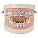 JINAO Bottom Grillz for Men Women Macro Pave Iced Out CZ Diamond 18K Gold Plated Grills for Your Teeth with Extra Molding Bars Included for Men Women (Silver bottom)