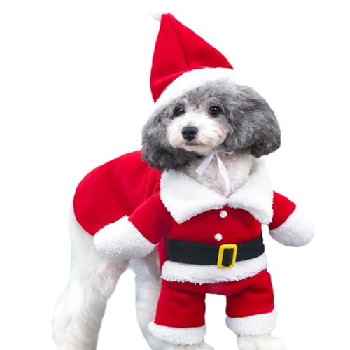 CLARAH �h�b�O�E�F�A �R�X�`���[�� �R�X�v�� �T���^�N���[�X �|�X dt-2111-088-am S ONECOLOR