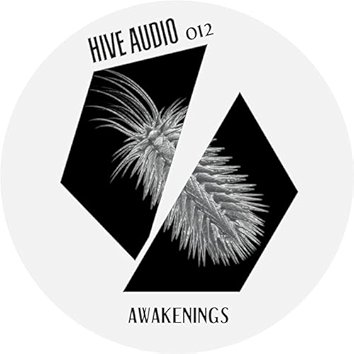 3. Awakenings