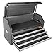 Wen 42-Inch Premium Tool Chest with Heavy Duty 21-Gauge Powder-Coated Steel Construction and Onboard Charging Station (GG421T)