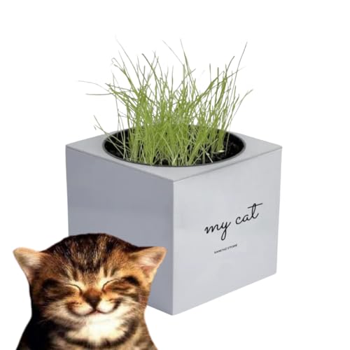 Grama para gato Kit Graminha para gatos Vaso Autoirrigável Inteligente Grama Félix Kit Completo Evit