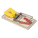 Woodstream 16 Victor Mouse Snap Traps M325 Pro - Holdfast Made by Kill and Control Mice