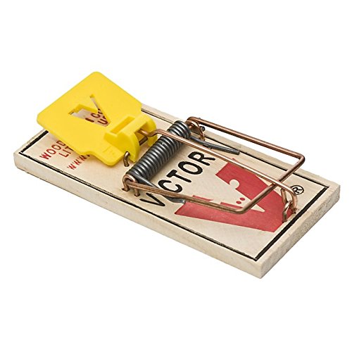 Expanded Trigger Mouse Trap (Pack Of 72) #TOP1
