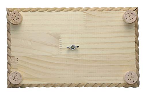 Litewoo Parrot Perch Bird Stand Natural Wood Quartz Sand Birdcage Play Gym T Perch Fits for Parakeet Budgies Cockatiel Cockatoo Conure Lovebirds Finches C