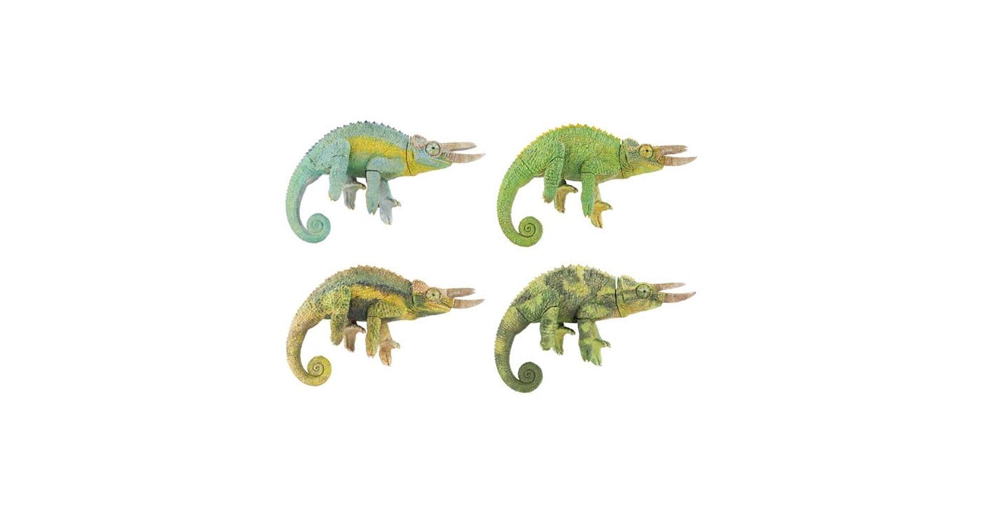 41o7T3gXohL.jpg_BO30,255,255,