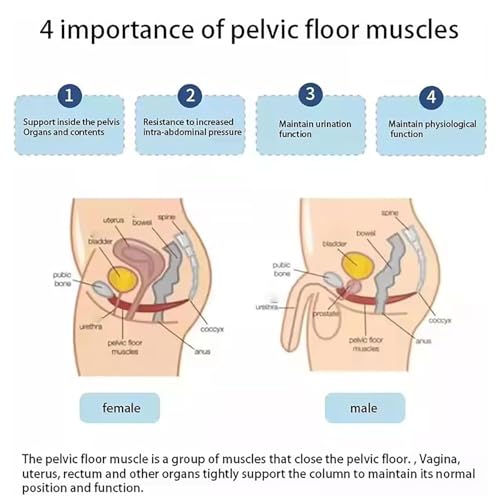 Rafforzatore per pavimento pelvico per donne, non invasivo, regolabile, diverse modalità per il recupero post-partum e il miglioramento della funzione sessuale