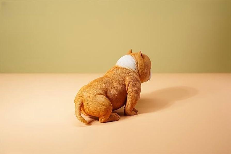 Pitbull 様 41LggLuJhLL._AC_UF350,