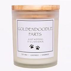 GOLDENDOODLE FARTS