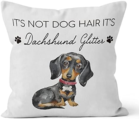 HIWX It's Not Dog Hair It's Dachshund Litter Decorative Pillowcase Throw Pillow Cover, Funny Dachshund Dog Quote for Sofa Bed Room Home Couch Decor 18 x 18 Inch Pillow Case