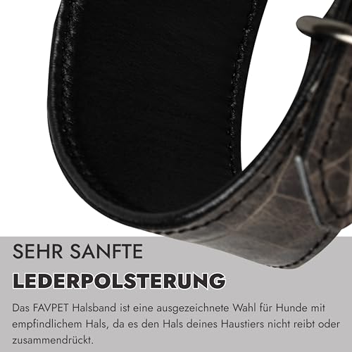 FAVPET Luxus Echtleder Windhund Halsband Breit mit QR Code Anhänger, Weiches Lederhalsband Hund Breit Whippet Italienisches Windspiel Saluki Lurcher Spanischer Galgo Greyhound Podenco (Grau, XS)