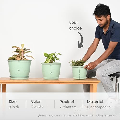 Product Variant View