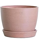 ECOPOTS Stockholm エコポッツ AND PLANTS アンドプランツ (テラコッタ, 鉢,Table-L（5号）)