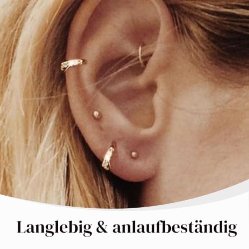 TESGADGETS kleine silberne Creolen mit chirurgischem 316L Stahl Scharnier Huggie Creolen für Knorpel, Helix, Tragus, leichte hypoallergene Ohrringe (6 mm, Silber)