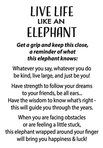 Ganz Live Life Like an Elephant Gifts Charm Pocket Token Ring with Story Card - 1 Token & Card2