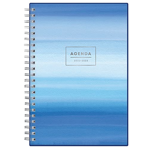 Blue Sky 2022-2023 Academic Year Weekly & Monthly Planner, 5" X 8", Frosted Flexible Cover, Wirebound, Chanson (128694-A23) #TOP6
