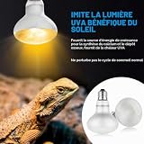 Adiwo lot de 2 ampoules chauffantes 100 W UVA culot E27 photo 5