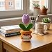 Imagen de Tulipán de Crochet con Tarjeta