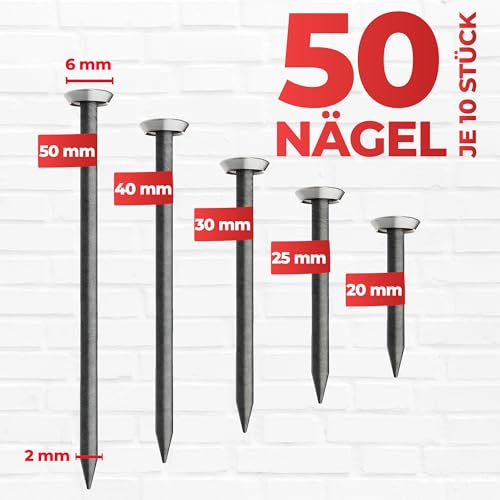 RIKAMA® – 50 Bildernägel im Mix aus je 10 x 20mm, 25mm, 30mm, 40mm, 50mm – Stahlnägel für den Einsatz auf Beton, Ziegelstein, Putz & Holz – Made in Europe (Silberner Kopf)