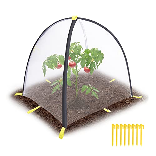 PURPLE STAR 1N 28 x28 x 33 Inch Insect Barrier Plant Tent Cover-Pest Guard Cover-Bird Barrier Netting Mesh with Stakes for Protect Plants Fruits Flower from Insect Bird Eating (1, M)