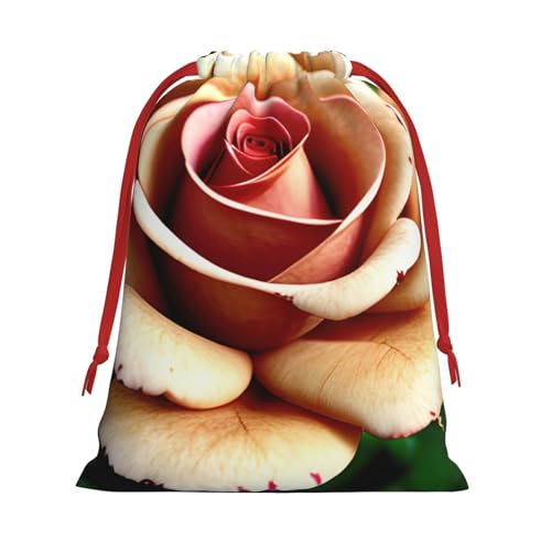 HTTUP fpȃ[Yt[vg ėp\ Mtg ֗ȃ|[`  LfB ϕi [ pr