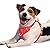 BARKBAY No Pull Dog Harness Front Clip Heavy Duty Reflective Easy Control Handle for Large Dog Walking with ID tag Pocket(Red,M)