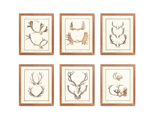 Hunting Art Set 6 Prints