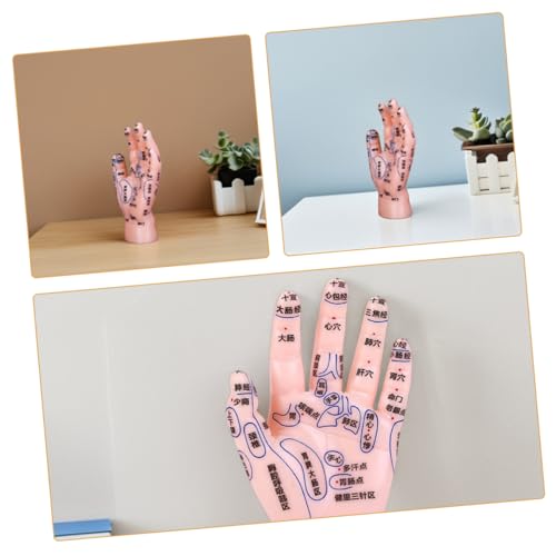 Hoement Hand Acupuncture Point Model Durable Reflexology Training Tool for Educational Institutions Healthcare and Massage Centers for Teaching Acupoint Techniques - Thumbnail 3