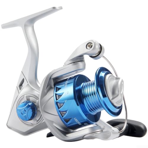 Fishing Reel 2:1 Gear Ratio Pre-loaded 8lb Line Saltwater(QS1000)