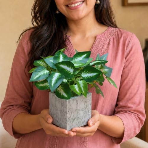 Image of fancymart Artificial Plant with Real-Touch Leaves in Pot, 25 cm, Indoor Tabletop Item for Home Decor, Office, Living Room