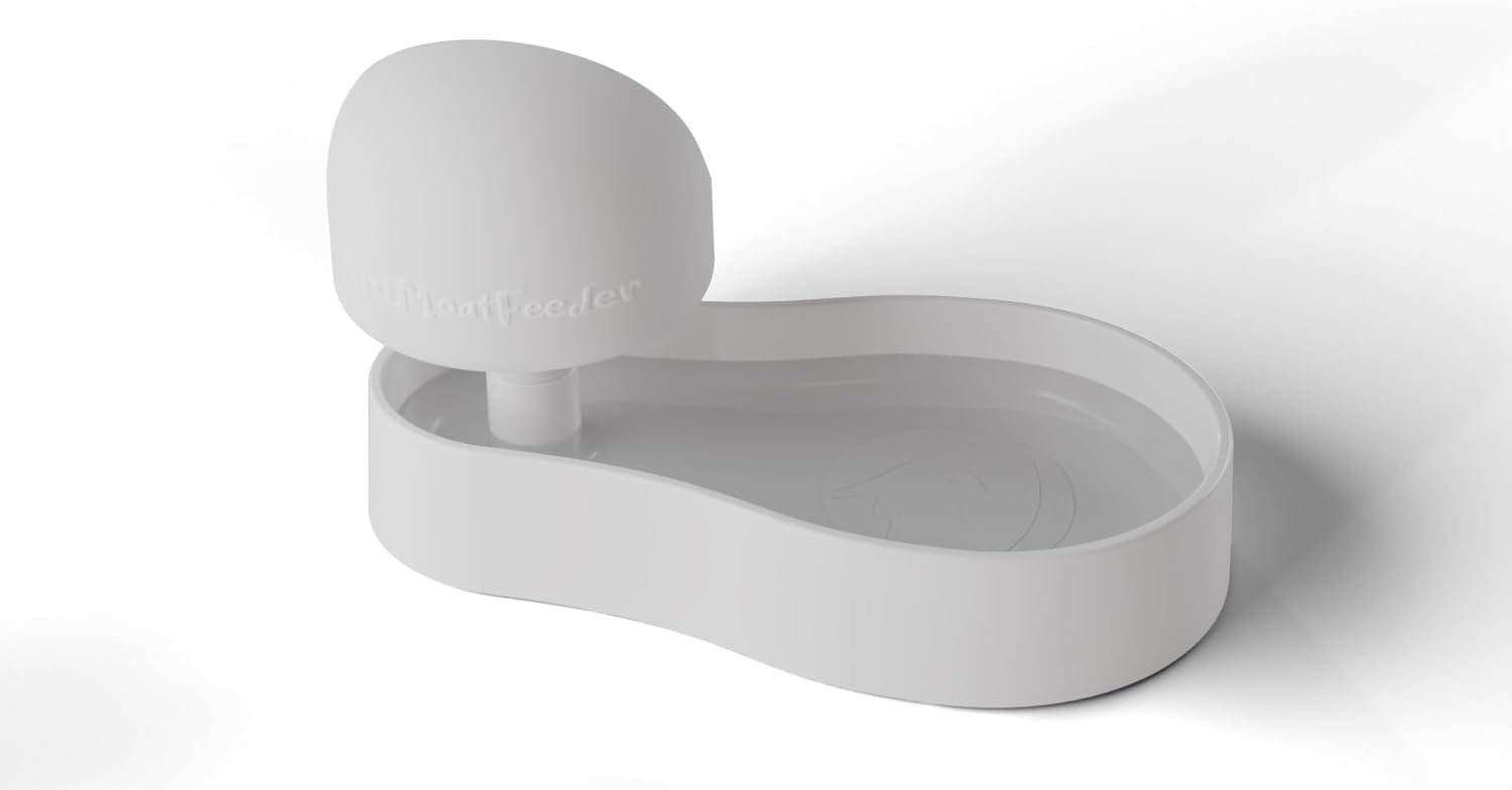 Raised Dog Cat Pet Food & Water Bowl (White)