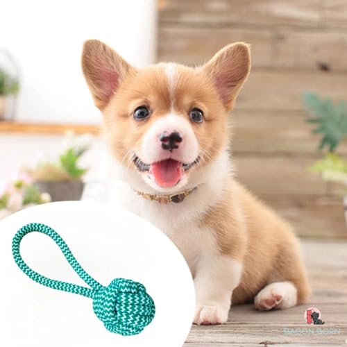 Brinquedo Cachorro Pet Cães Corda Pequena com puxador Mordedor Pet Cães Cachorros Shitzu Pinscher Lh