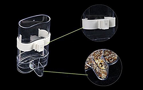 Bird Waterer Bird Feeders Bird Feed Water Dispenser For Parrot Budgies Parakeet Cockatiels Conure Lovebirds Finch African Greys 1Pcs #TOP7