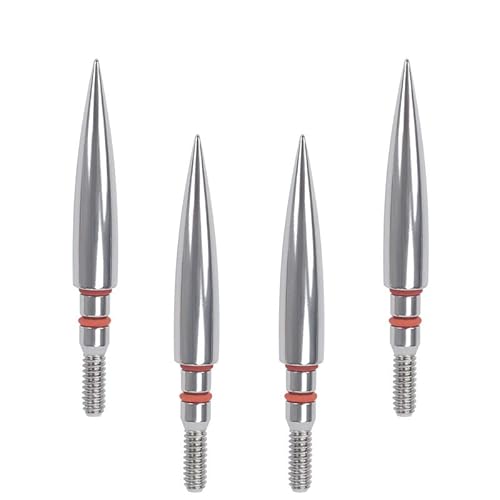 Alinbehbs Field Points Arrowheads 200 Grain Field Points, Stainless Steel Archery Field Points, Screw In Archery Field Points Tips (1 Dozen 12Pcs) #TOP3