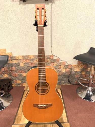 TAKAMINE TDP400KV N ���胂�f��