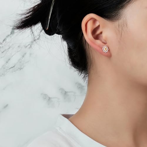 Zirkoniaohrringe ⇒ Exklusive Ohrringe Mit Zirkonia Kaufen
