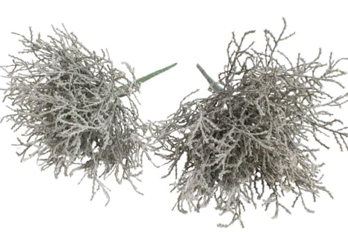 Botanic-Haus künstlicher Calocephalus (Stacheldraht...