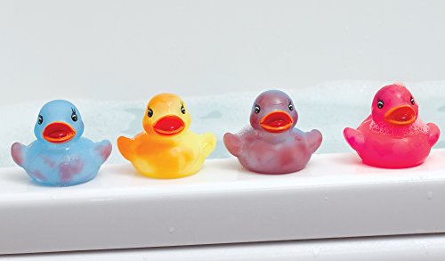 Paperella Che Cambia Colore