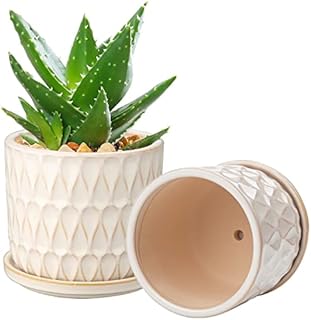 Oairse Plant Pots Indoor Set of 2 Ceramic Flower Pots 12CM 14CM Small Garden Planters with Saucers Tray and Drainage Holes, White Succulent Plant Pot Cactus Plant Pot pour Indoor Plant Mini Herb