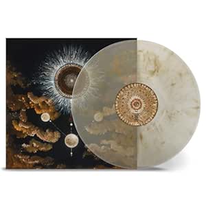 Equinox (Clear/Brown