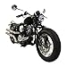 M Massimo Motor Motorcycle, Massimo Motorcycle, Timeless Taste V-Twin Engine 249cc Top Speed 70+ Handsewn Leather Seats to Chrome Electroplated Parts, 5-Speed street legal motorcycle