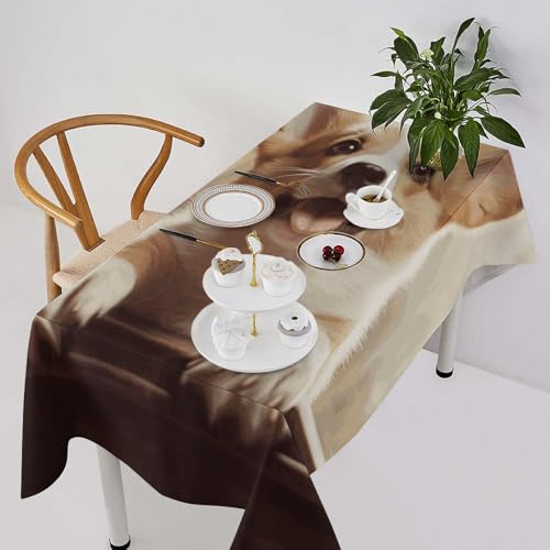 Nappe de table imperméable en polyester motif corgi pour intérieur extérieur - 3