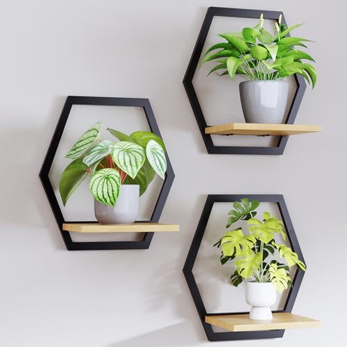 Rioneta Modern Black Hexagon Wall Planters with Solid Wood Shelves
