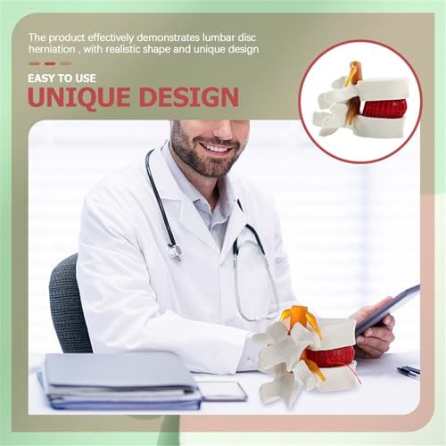 Modèle d'hernie discale lombaire 3D AMITD de haute précision - 3