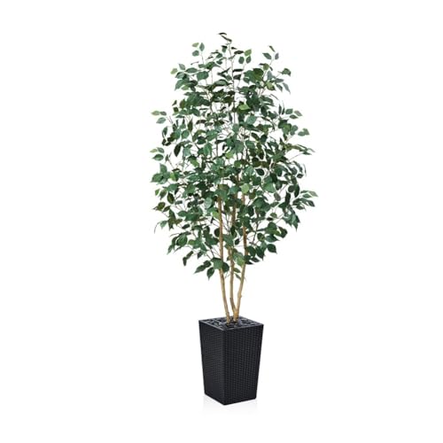 VeriNatural Ficus Artificial 180 cm Planta Artificial Grande - Árbol Decorativo Realista con Hojas de Seda, Tronco Natural y Maceta Negra- Ideal para Hogar Jardín Oficina, Interior y Exterior, VN129